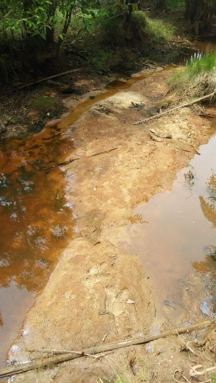 SUNGAI RIMBO ILIR AKIBAT KEMARAU