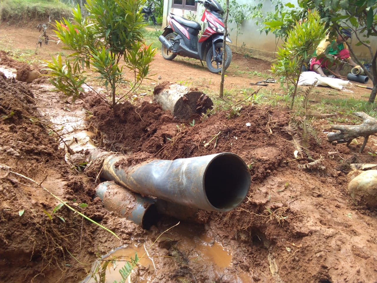 rimbo ulu